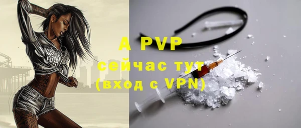 сатива Аркадак