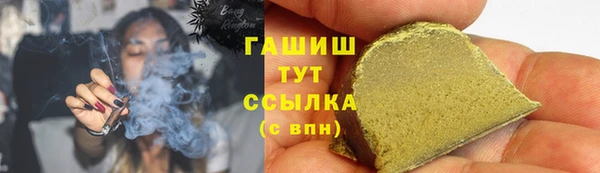 сатива Аркадак