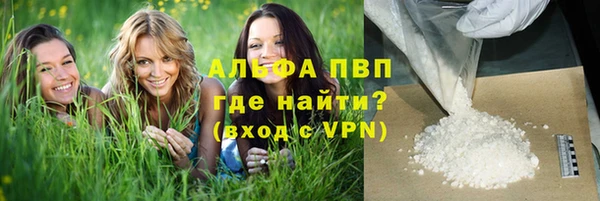 сатива Аркадак