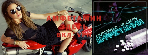 сатива Аркадак